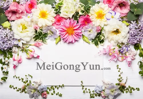 春季美丽花卉边框高清背景Spring Beautiful Floral