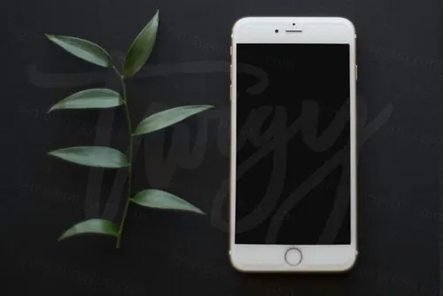 植物花饰陪衬iPhone样机模板 iPhone Mockup Square Format