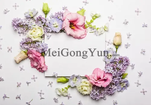 春季美丽花卉边框高清背景Spring Beautiful Floral