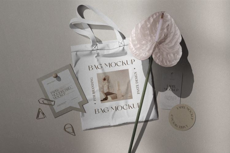 无纺布手提袋品牌包装设计提案样机模板 Branding Moodboard Fabric Bag Mockup Flower