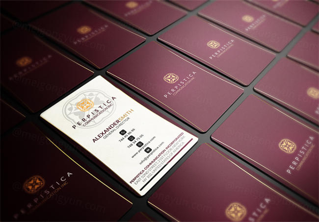 5套商业名片模版Business Card Bundle