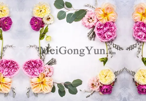 春季美丽花卉边框高清背景Spring Beautiful Floral