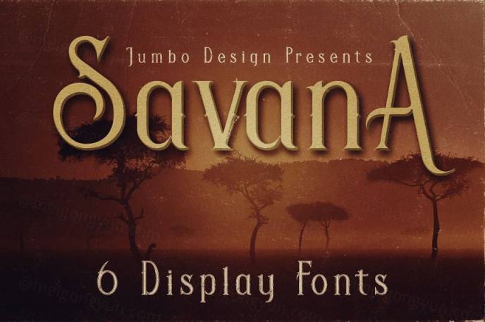独特复古风格英文字体Savana - Display Font