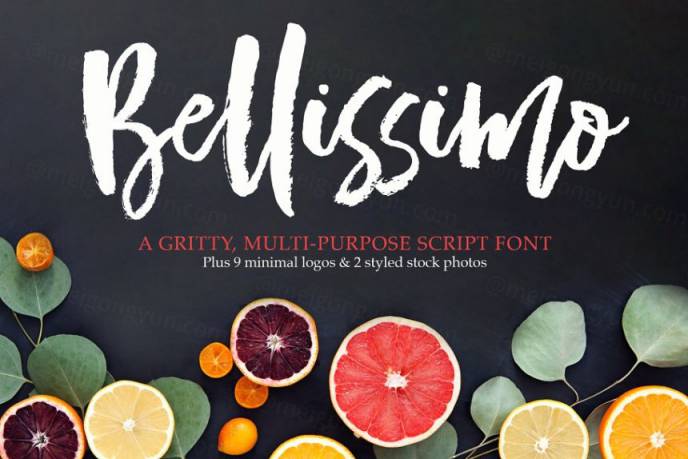 手绘粗犷字体 Bellissimo Typeface   Minimal Logos