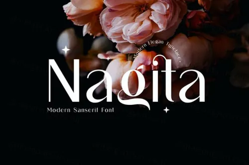 现代时尚优雅的女性杂志海报排版英文无衬线字体 Alfinart-Nagita Sans Serif Font