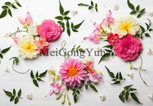 春季美丽花卉边框高清背景Spring Beautiful Floral