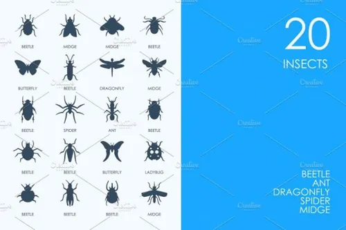 昆虫图标 Insects icons