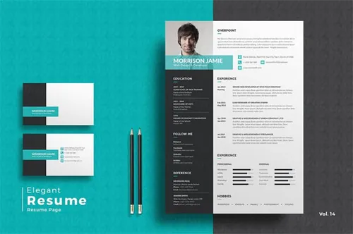 优雅简约的商务简历名片多格式通用模板素材 Resume/CV