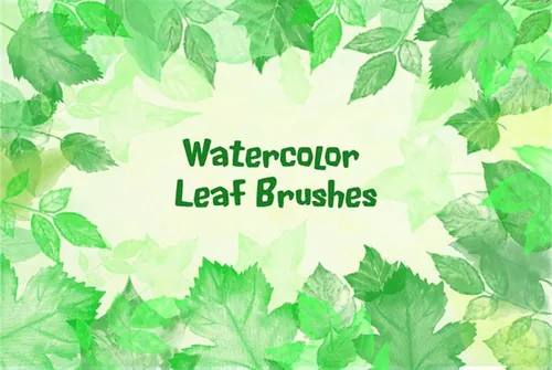 水彩树叶PS笔刷 Watercolor Leaf Photoshop