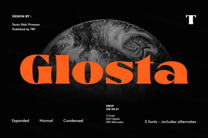 奢华漂亮的连笔品牌设计排版衬线英文字体 Glosta Font