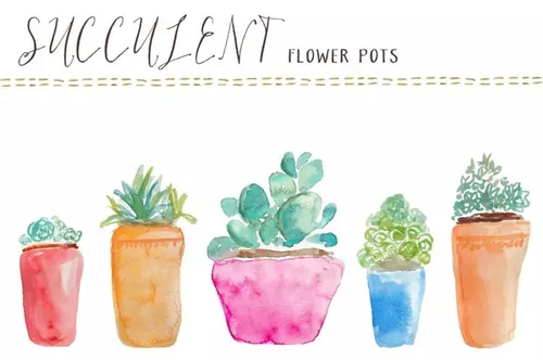 水彩多肉盆栽植物插画 Watercolor Succulents Flower Pots