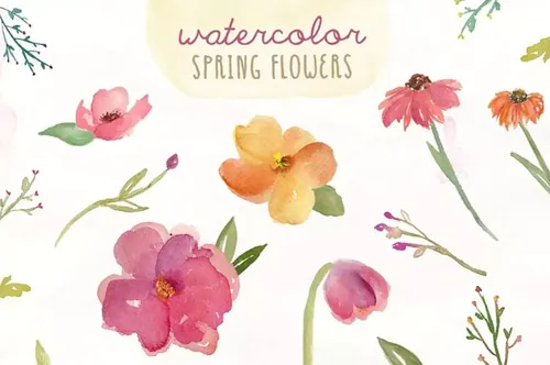 浪漫春季水彩花卉 Watercolor Spring Flowers