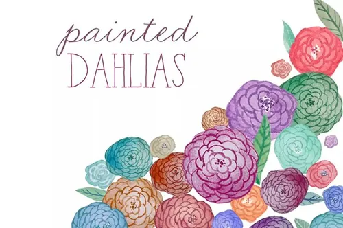 水彩大丽花菊花花卉 Watercolor Flowers – Dahlias