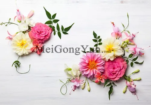 春季美丽花卉边框高清背景Spring Beautiful Floral