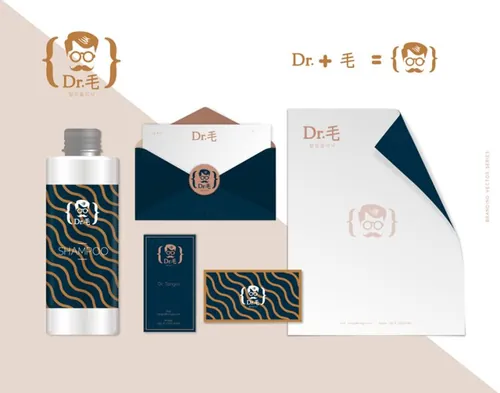 稀有的男士面部管理企业VI模板