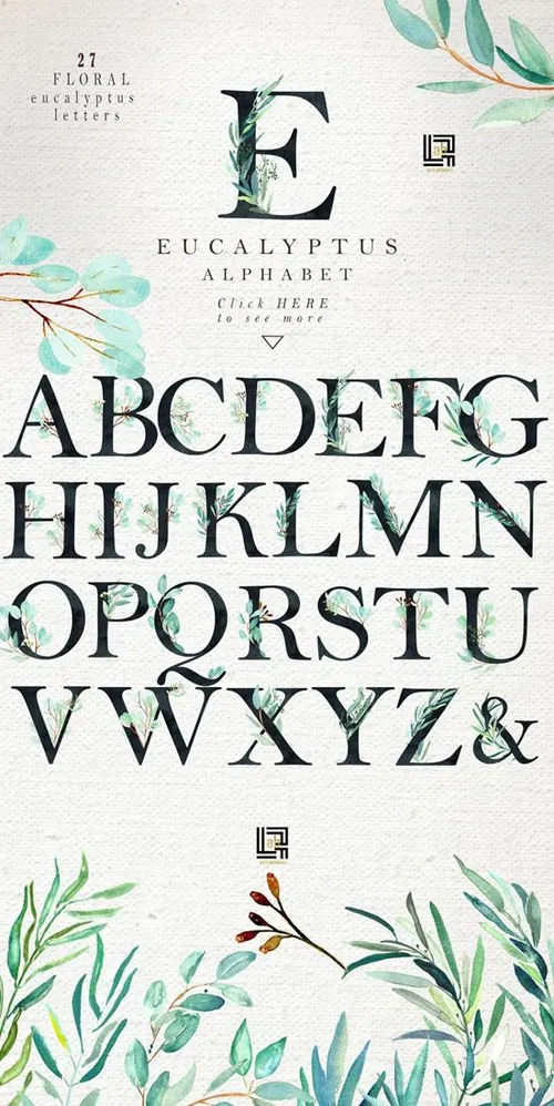 手绘水彩桉树树枝树叶设计素材 Eucalyptus.-Wat