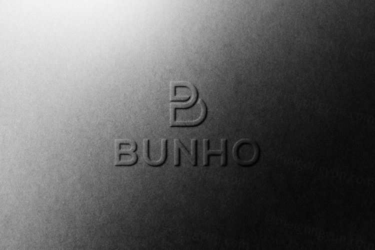 高品质UV压印烫金烫银工艺LOGO设计提案样机模板 Logo