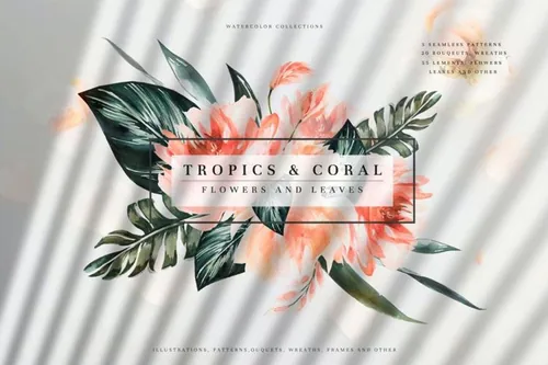 水彩手绘珊瑚龟背竹棕榈树热带植物花卉素材合辑 Tropics