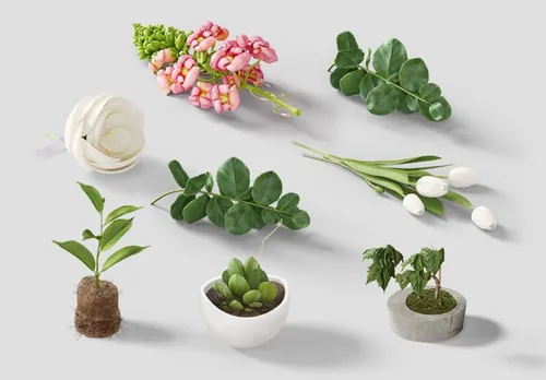化妆品贴图样机元素[1] Plants  Flowers