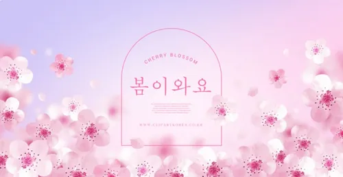 粉色春季桃花节春天樱花网页横幅海报PSD模板素材