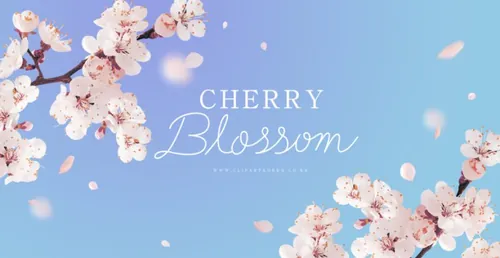 粉色春季桃花节春天樱花网页横幅海报PSD模板素材