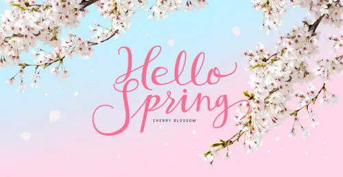 粉色春季桃花节春天樱花网页横幅海报PSD模板素材