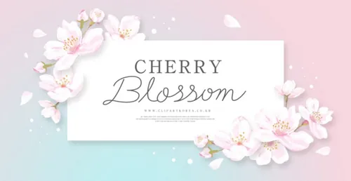 粉色春季桃花节春天樱花网页横幅海报PSD模板素材