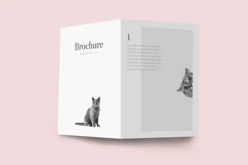 折页小册子模型PSD贴图模板Bifold Brochure Mockup 样机模版