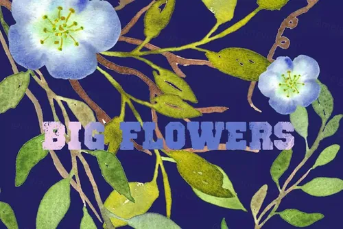 水彩手绘花卉艺术设计素材 Big Flowers water
