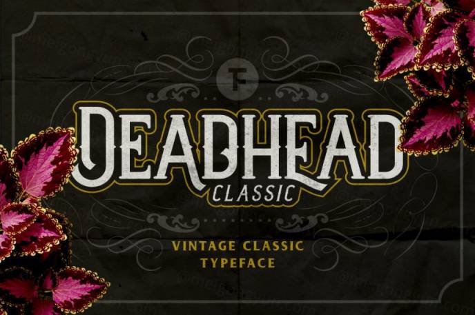 适合表现万圣节的英文字体 Deadhead Classic