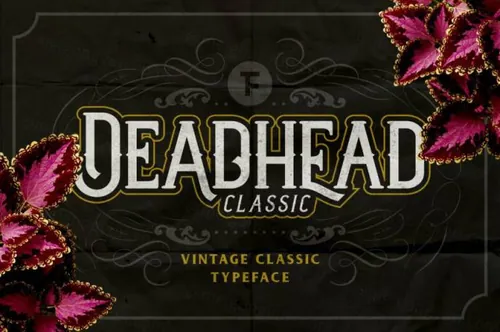 适合表现万圣节的英文字体 Deadhead Classic