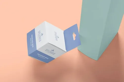 方盒包装样机（PSD）