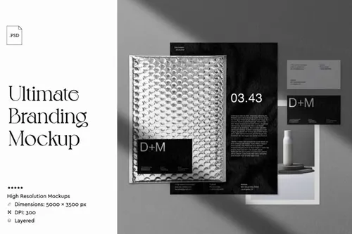 高端完美的企业文具品牌样机套装