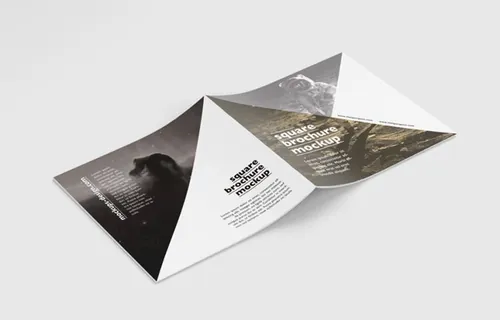 画册设计贴图展示模版 Square brochure mockup