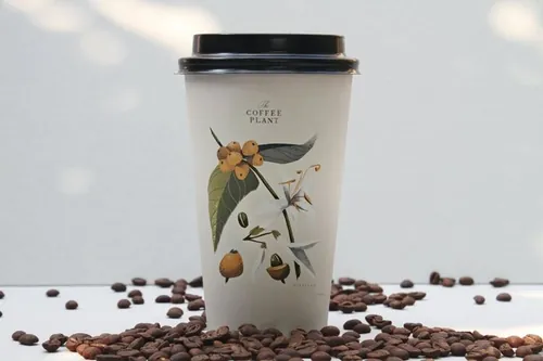 常用一次性环保咖啡杯设计样机（PSD）