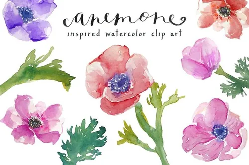 手绘水彩花卉设计素材Watercolor Anemones Clip Art