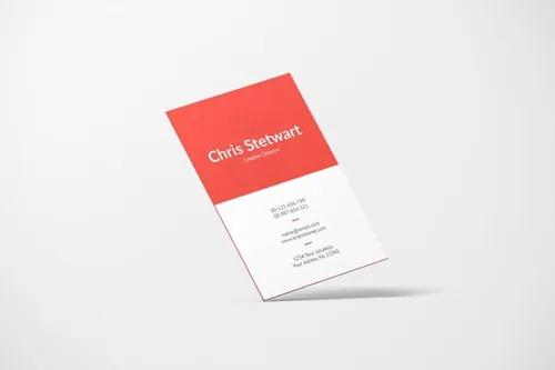 竖版优秀名片设计样机