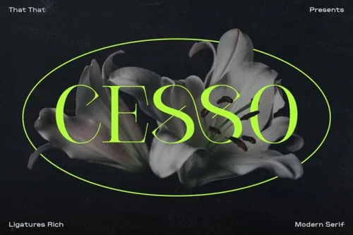 复古艺术创意品牌设计海报杂志排版英文衬线字体 Cesso: Ligature Serif