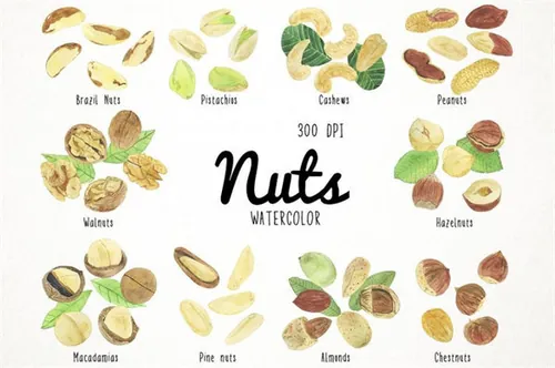 62款手绘水彩坚果PNG透明素材下载Watercolor_Nuts_Clipart