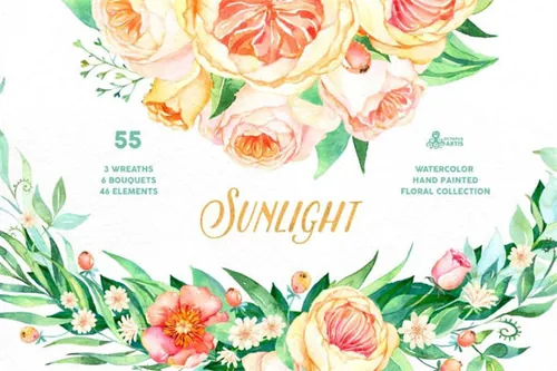阳光花卉系列水彩素材 Sunlight. Floral Collection