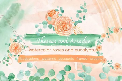 水彩手绘桉树桃花剪贴画插图素材 Watercolor euc