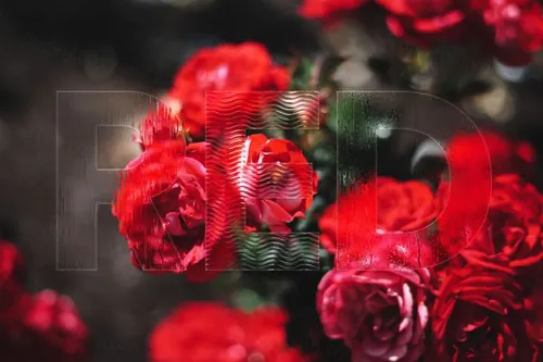 潮流抽象图案水雾水滴磨砂波浪玻璃图像模糊效果PS素材 Rea