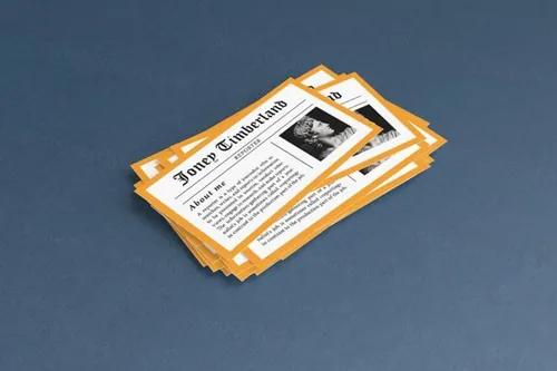 标准尺寸企业名片样机 Double Standards Business Cards