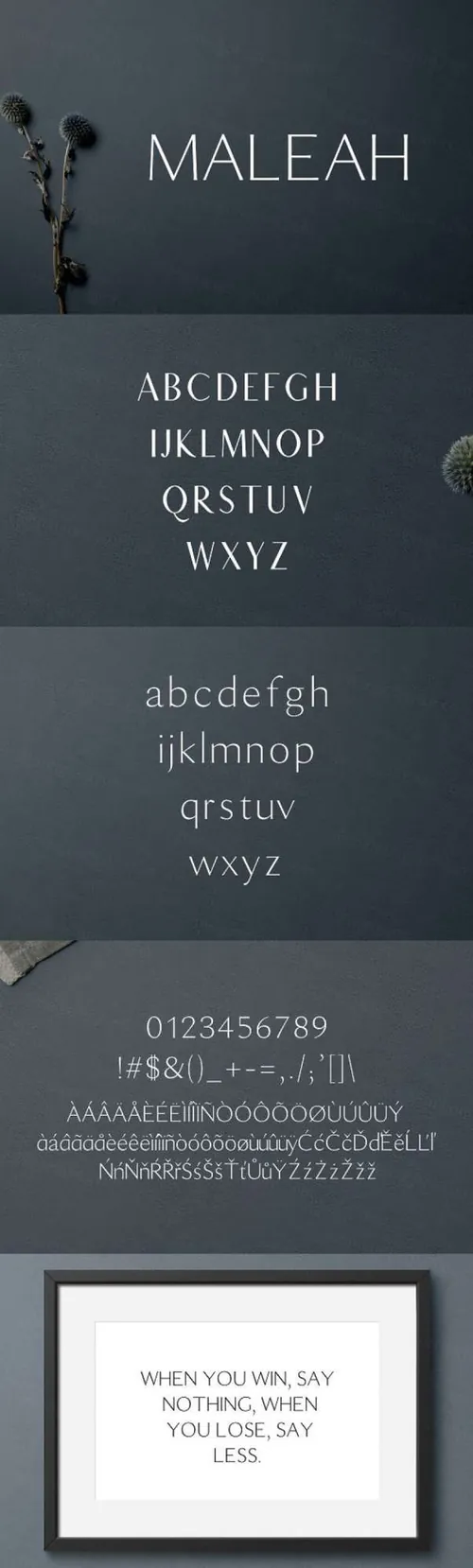 一款优雅的现代无衬线字体 Maleah Sans Serif 2 Font