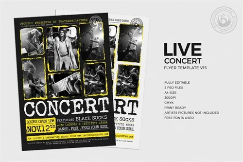 音乐聚会海报模板 Live Concert Flyer