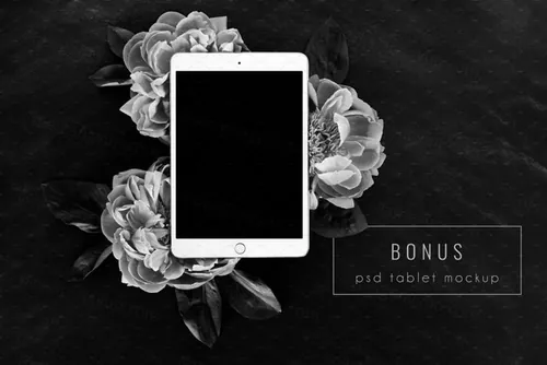 黑色背景花卉场景样机 Floral Background P