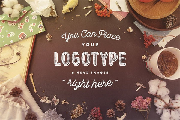 6个高质量时尚复古LOGO徽标标志PSD模板 Hip Hero Collection (6 hero images)