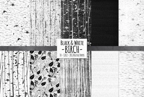 黑白桦木纹理背景素材 Birch Black  White