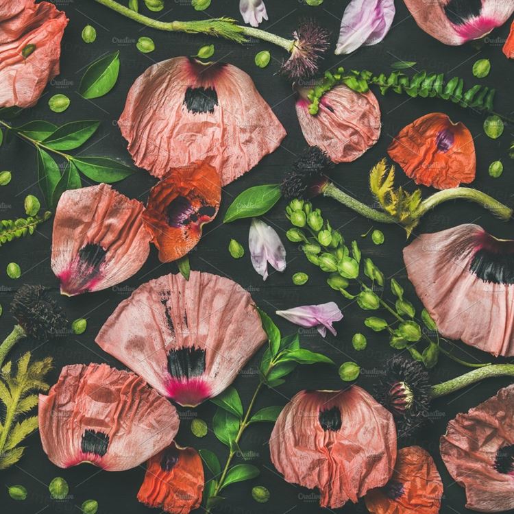 鲜花花瓣设计素材Pink and red flower petals