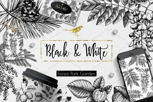 黑色植物树叶素描矢量插图素材  Black-White-Tr